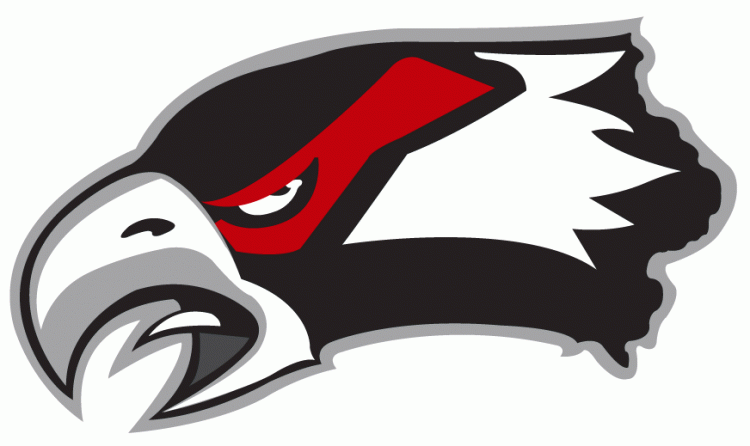 waterloo black hawks 2007-pres secondary logo iron on heat transfer